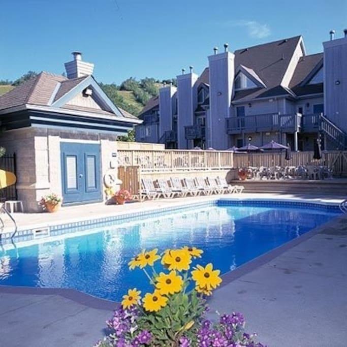 Blue Mountain Suites The The Blue Mountains Exterior foto